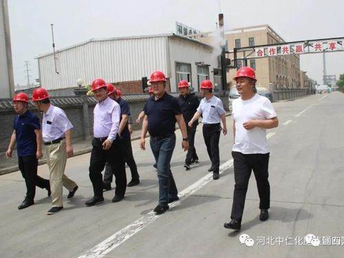 �_���h�I(l��ng)��(d��o)�W�R���ʼ��F(tu��n)����ָ��(d��o)